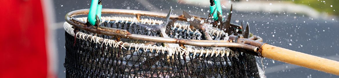 尾上水産 お問い合わせフォーム